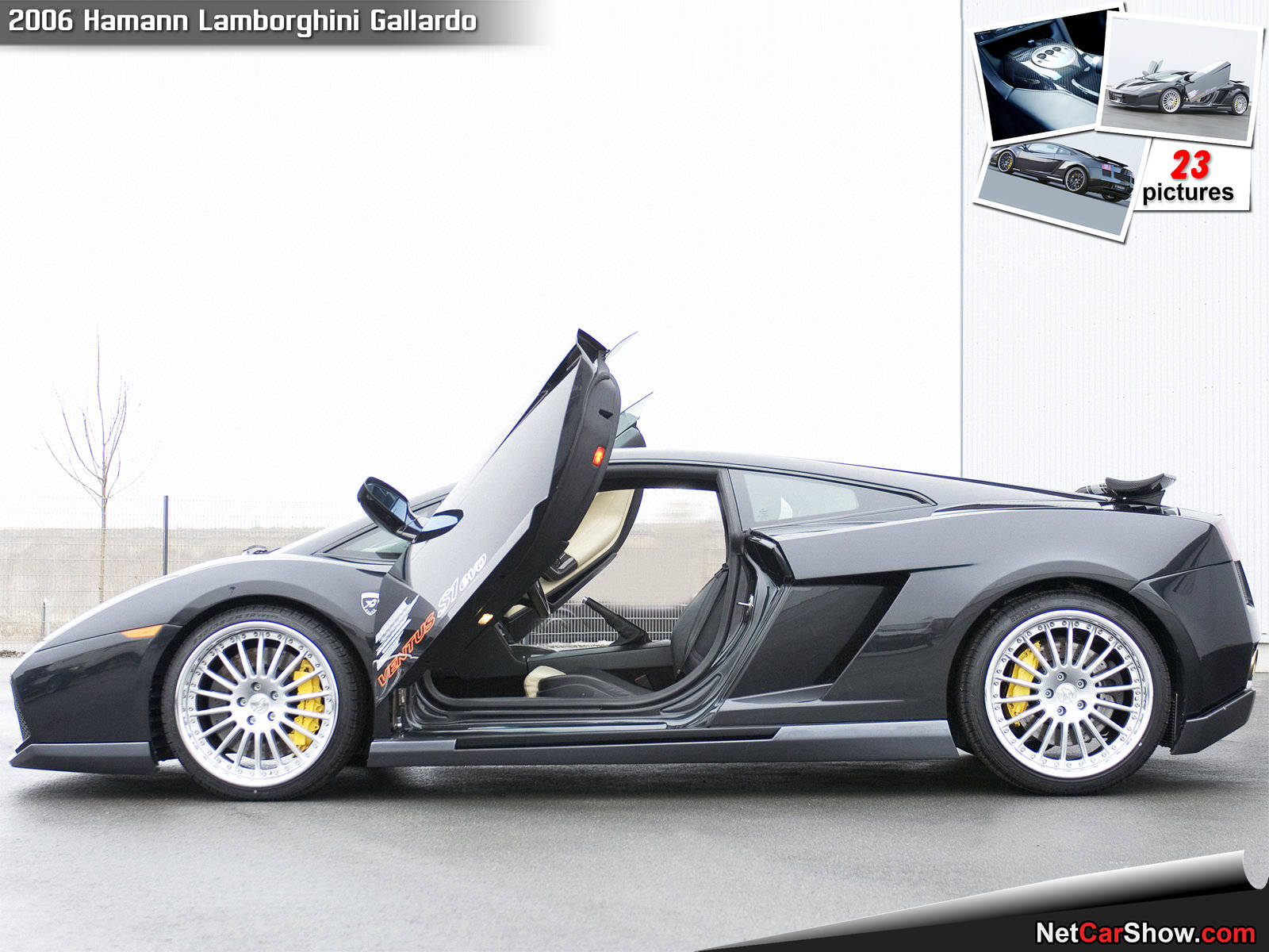 Hamann-Lamborghini_Gallardo-2006-1600-0a