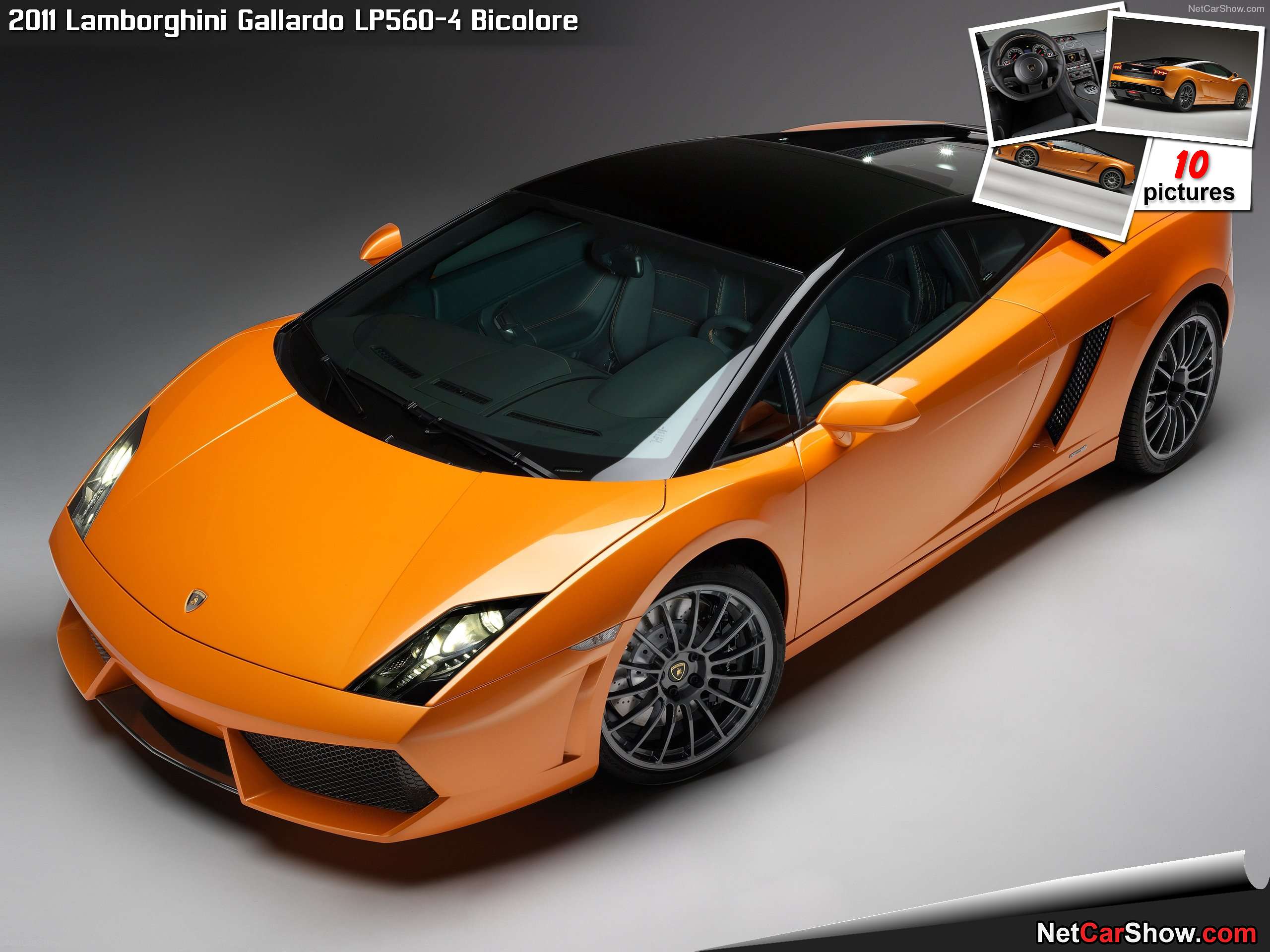 Lamborghini-Gallardo_LP560-4_Bicolore-2011-hd